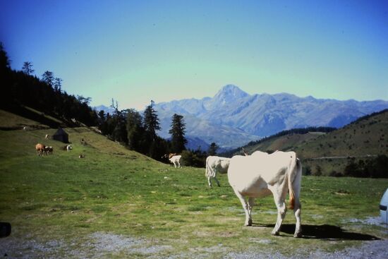 Typische Landschaft in den Pyrenäen