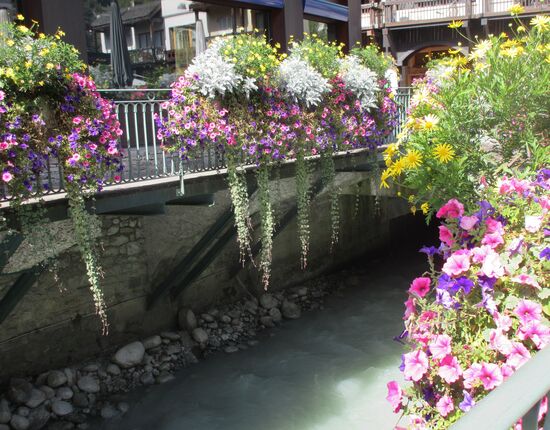 Blumenschmuck an der Arve