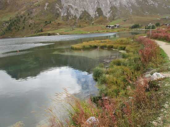 Am kleinen See