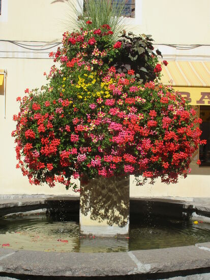 Schöner Blumenschmuck im Ort