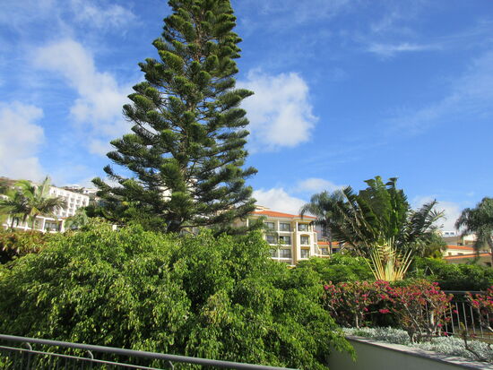 Im Hotelgarten