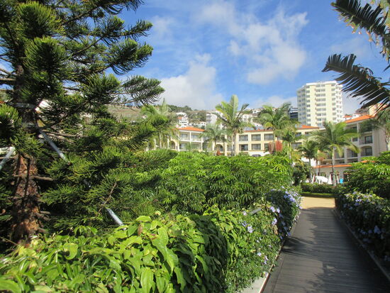 Schön bepflanzter Hotelgarten
