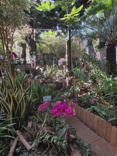 Orchideengarten vom Hotel