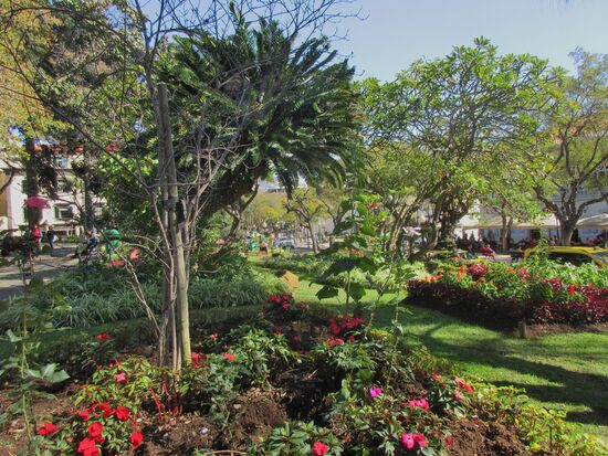 Jardim Municipal do Funchal