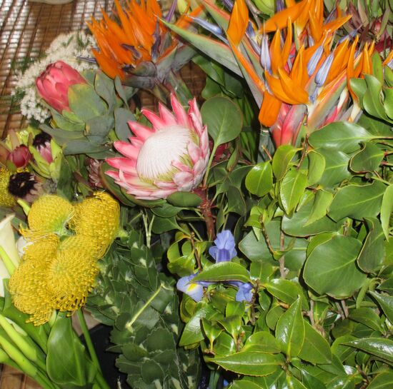 Wunderschöne Blumen