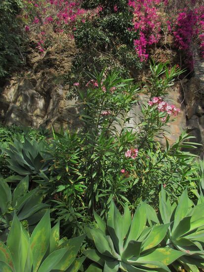 Auf dem Weg nach oben