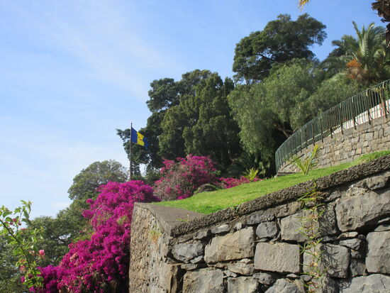 Blick nach oben zum Park