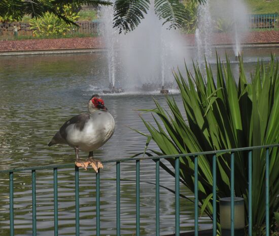 Auf jeden Fall fotogen
