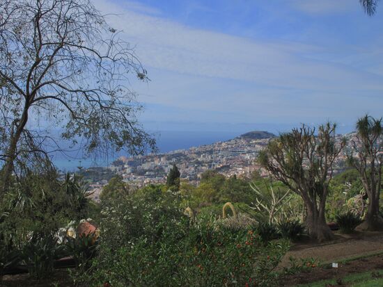 Blick auf Funchal
