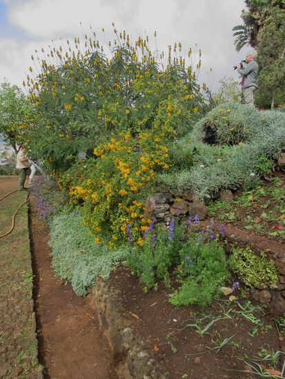 Wenn es ncht genügend regnet, muss man wässern...