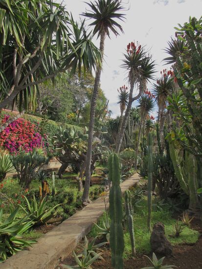 Weg durch den Kakteengarten