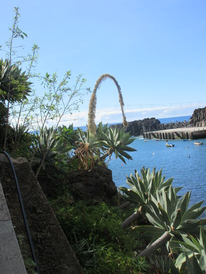 Auf dem Promenadenweg