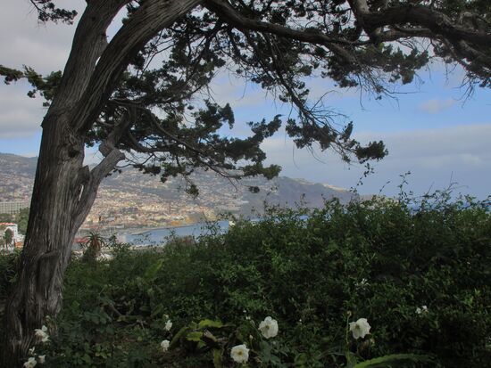 Blick vom Hotelgarten