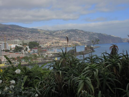 Blick auf Funchal vom Hotelgarten