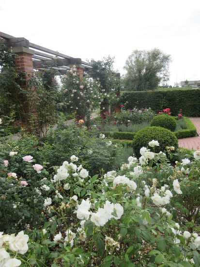 Rosengarten