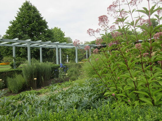 Im Staudengarten