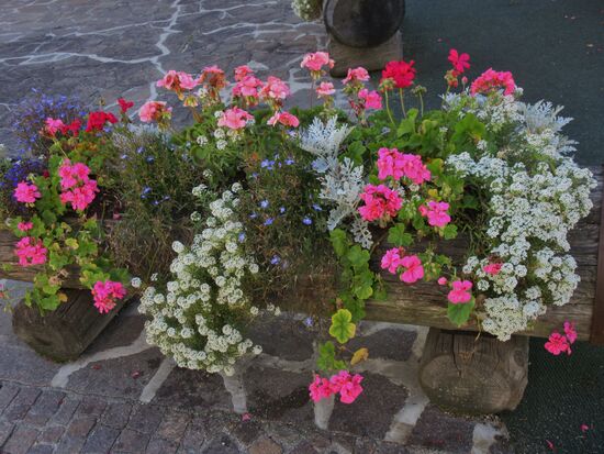Schöner Blumenschmuck