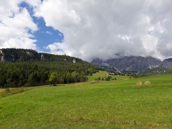 Das Gras ist schon geschnitten und liegt in Ballen auf der Wiese