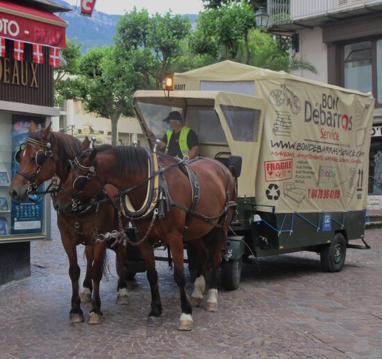 So wird Pappe umweltfreundlich eingesammelt...