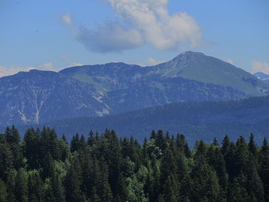 Blick auf die bewaldeten Berge