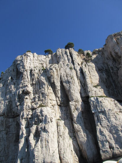 Und ganz oben sind die Aleppo Kiefern