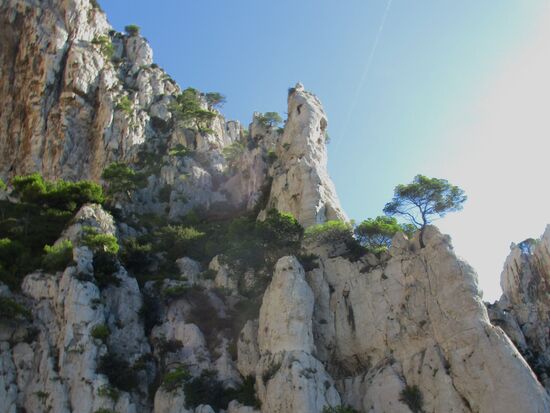 Mit etwas Phantasie kann man sich Figuren vorstelen, wie oben z.b. ein Hundekopf...