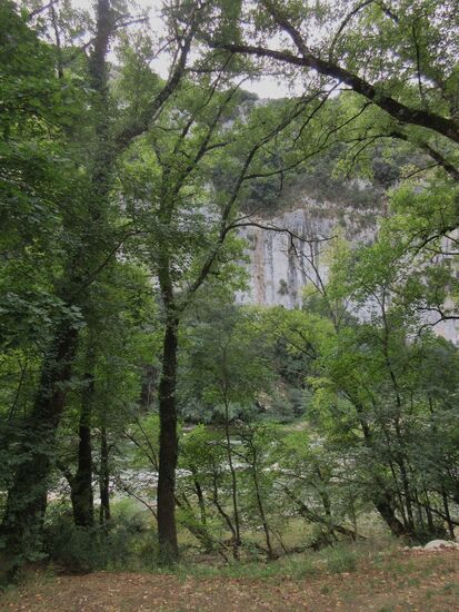 Durch die Bäume sieht man die Ardèche