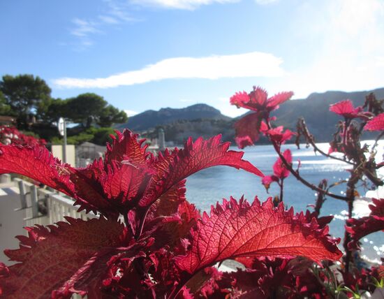 Die Bucht von Cassis