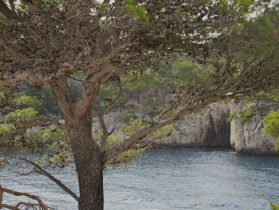 Blick auf eine kleine Höhle an der CalanqueKap
