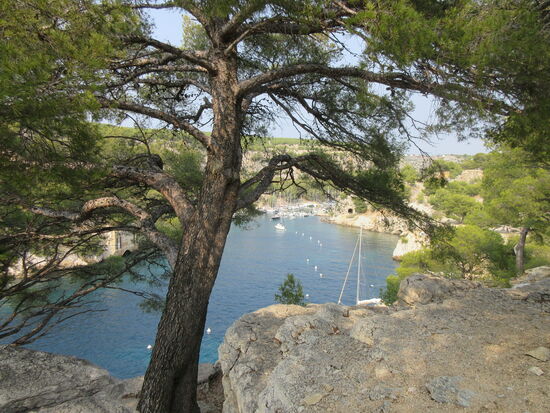 Nochmals Blick auf Port Miou Calanque