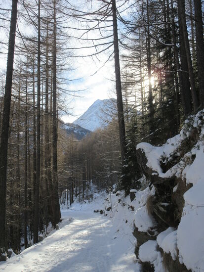 Winterwanderweg nach Saas Almagell