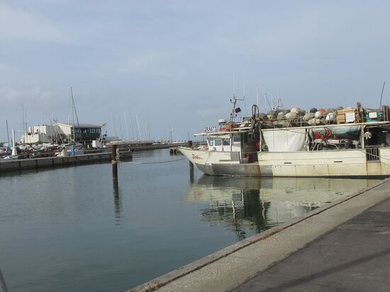 Im Hafen
