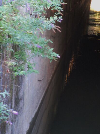 Einfahrt in den Tunnel