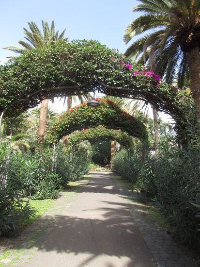 Schöner Weg im Park
