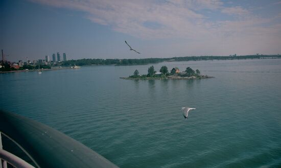 Kleine Insel mit Möwe