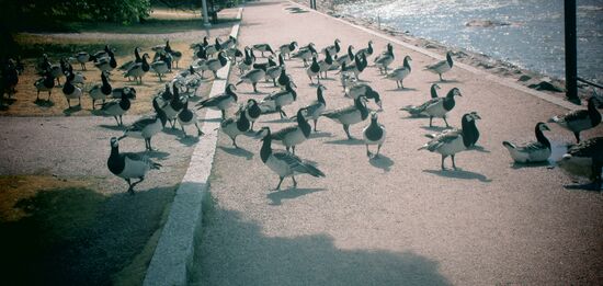 Was für eine Versammlung...