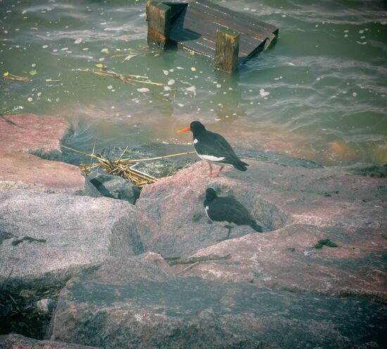 Mal raus asu dem Wasser...