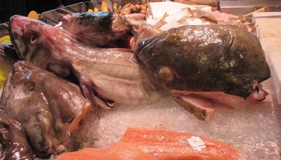 Sieht gar nicht wie ein Fisch aus....