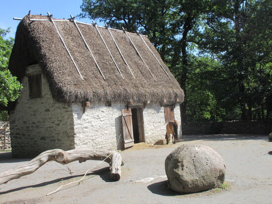 Pferd mit traditonellem Stall