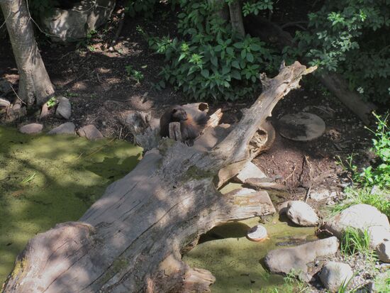 Noch etwas versteckt