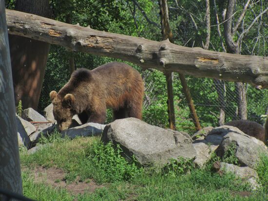 Da muss doch was sein...