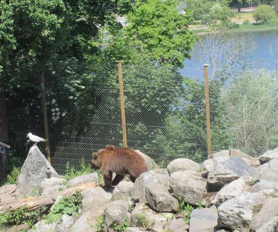 Wer ist da in meinem Bereich?