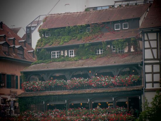 Welche Blumenpracht!