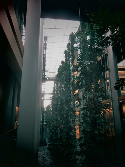 Bepflanzung im Innenhof