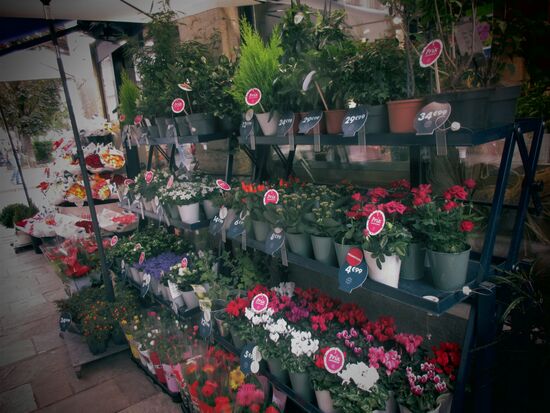 Blumen in der Markthalle