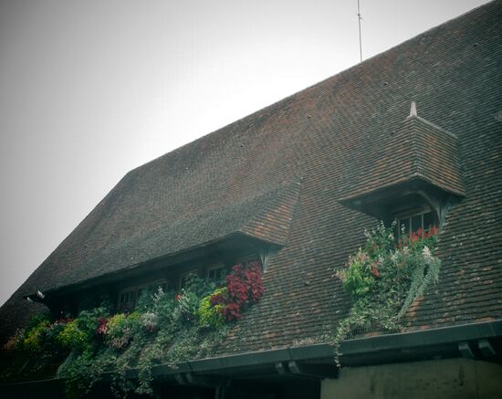 Was für ein wunderschönes Dach