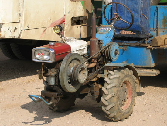 Diese Gefaehrte sieht man haeufig