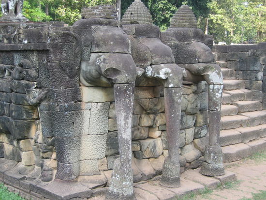 Die Elefantenterrasse