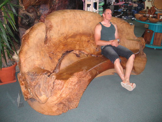Sitzbank aus einem Stueck Kauri Baum