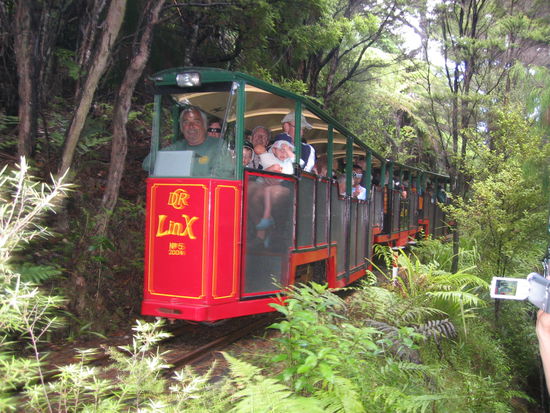 Driving Creek Railway